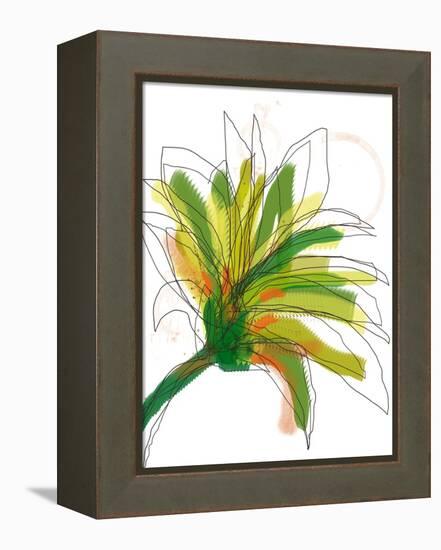 Green Mix-Jan Weiss-Framed Stretched Canvas