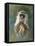 Green Monkey Study-Michael Jackson-Framed Premier Image Canvas