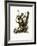 Green Monkey-null-Framed Giclee Print