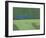 Green Moon Rising-Paul Bailey-Framed Premium Giclee Print