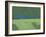 Green Moon Rising-Paul Bailey-Framed Art Print