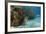 Green Moray, Hol Chan Marine Reserve, Ambergris Caye, Belize-Pete Oxford-Framed Photographic Print