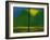 Green Mountain with Yellow-Vaan Manoukian-Framed Art Print