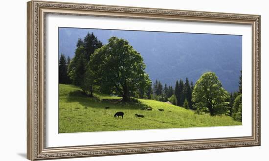 Green Mountainscape cropped-István Nagy-Framed Photographic Print