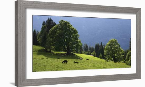 Green Mountainscape cropped-István Nagy-Framed Photographic Print