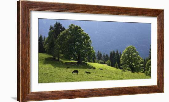 Green Mountainscape cropped-István Nagy-Framed Photographic Print