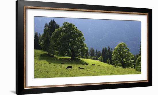 Green Mountainscape cropped-István Nagy-Framed Photographic Print