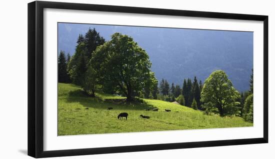 Green Mountainscape cropped-István Nagy-Framed Photographic Print