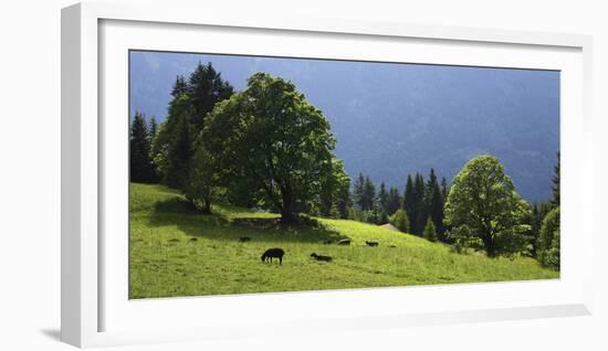 Green Mountainscape cropped-István Nagy-Framed Photographic Print
