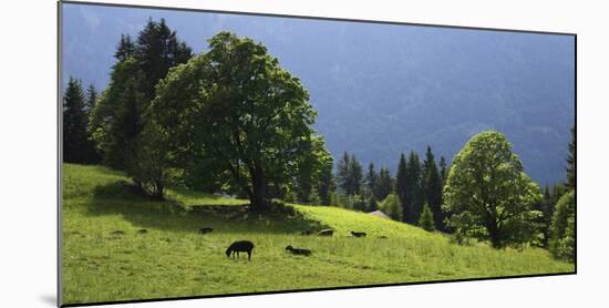Green Mountainscape cropped-István Nagy-Mounted Photographic Print