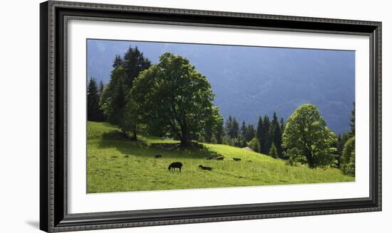 Green Mountainscape cropped-István Nagy-Framed Photographic Print