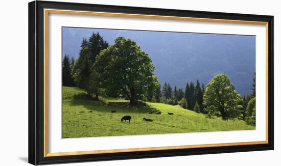 Green Mountainscape cropped-István Nagy-Framed Photographic Print