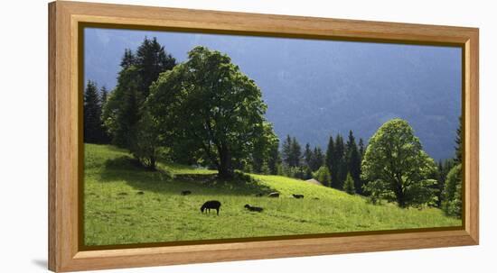 Green Mountainscape cropped-István Nagy-Framed Stretched Canvas