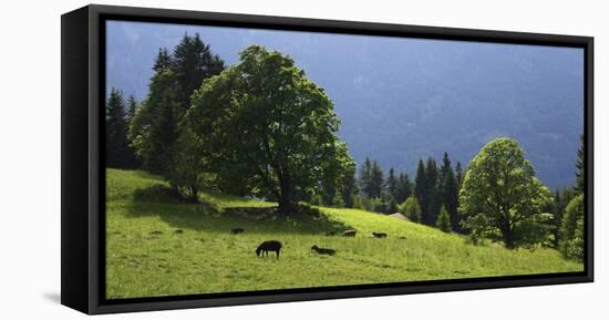Green Mountainscape cropped-István Nagy-Framed Stretched Canvas
