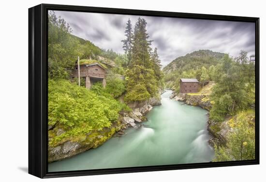 Green Nature-Viviane Fedieu Daniel-Framed Premier Image Canvas