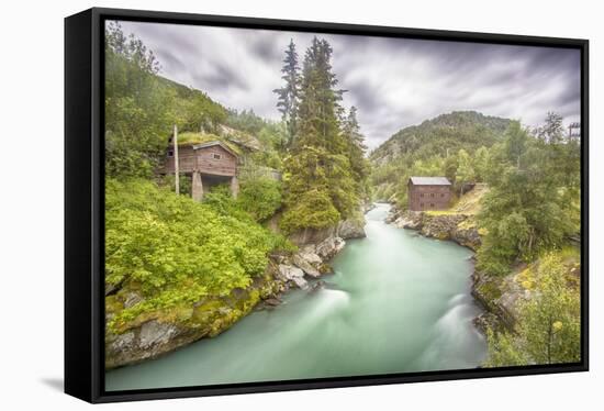 Green Nature-Viviane Fedieu Daniel-Framed Premier Image Canvas