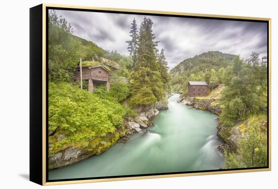 Green Nature-Viviane Fedieu Daniel-Framed Premier Image Canvas