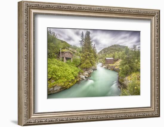 Green Nature-Viviane Fedieu Daniel-Framed Photographic Print