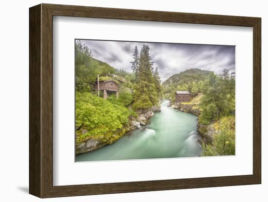 Green Nature-Viviane Fedieu Daniel-Framed Photographic Print