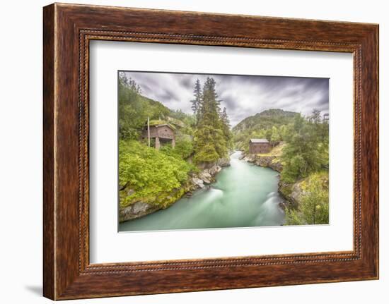 Green Nature-Viviane Fedieu Daniel-Framed Photographic Print