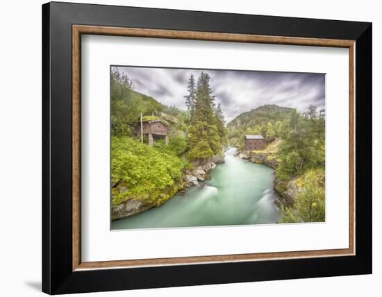 Green Nature-Viviane Fedieu Daniel-Framed Photographic Print