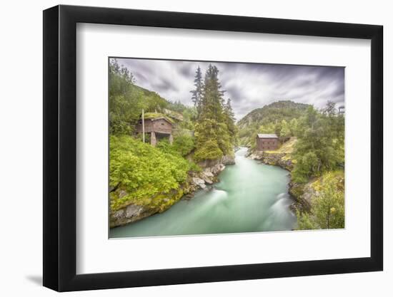 Green Nature-Viviane Fedieu Daniel-Framed Photographic Print