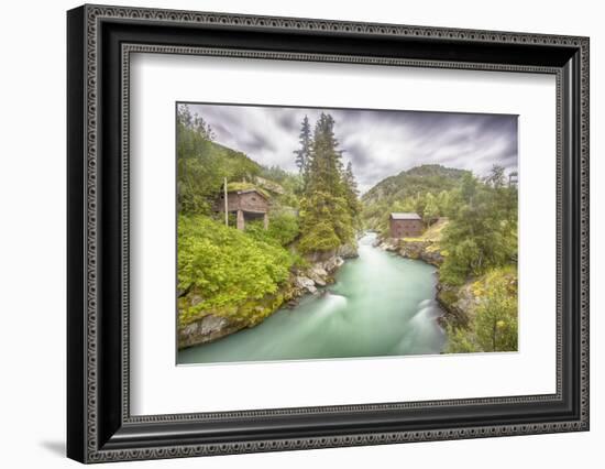 Green Nature-Viviane Fedieu Daniel-Framed Photographic Print