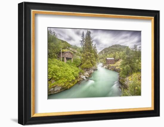 Green Nature-Viviane Fedieu Daniel-Framed Photographic Print