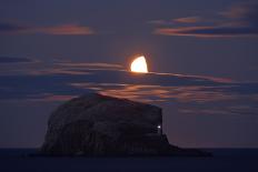Northern Gannet (Morus Bassanus) Colony, Bass Rock with the Moon Rising, Firth of Forth, Scotland-Green-Photographic Print