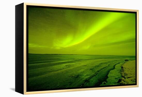 Green Northern Lights over the Sea, Beaufort Sea, ANWR, Alaska, USA-Steve Kazlowski-Framed Premier Image Canvas