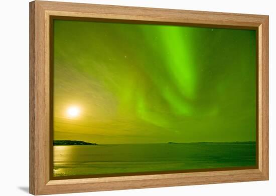 Green Northern Lights over the Sea, Beaufort Sea, ANWR, Alaska, USA-Steve Kazlowski-Framed Premier Image Canvas