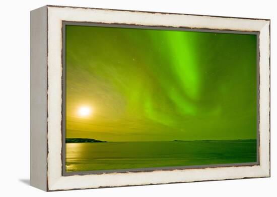 Green Northern Lights over the Sea, Beaufort Sea, ANWR, Alaska, USA-Steve Kazlowski-Framed Premier Image Canvas