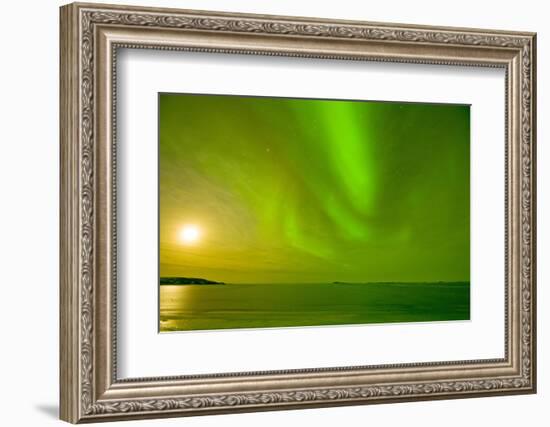 Green Northern Lights over the Sea, Beaufort Sea, ANWR, Alaska, USA-Steve Kazlowski-Framed Photographic Print