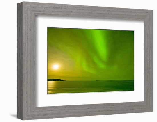 Green Northern Lights over the Sea, Beaufort Sea, ANWR, Alaska, USA-Steve Kazlowski-Framed Photographic Print