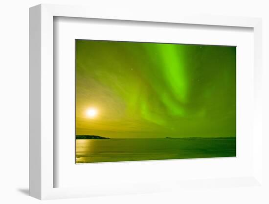 Green Northern Lights over the Sea, Beaufort Sea, ANWR, Alaska, USA-Steve Kazlowski-Framed Photographic Print