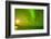 Green Northern Lights over the Sea, Beaufort Sea, ANWR, Alaska, USA-Steve Kazlowski-Framed Photographic Print