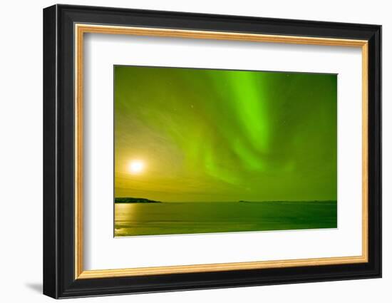 Green Northern Lights over the Sea, Beaufort Sea, ANWR, Alaska, USA-Steve Kazlowski-Framed Photographic Print