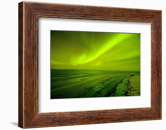 Green Northern Lights over the Sea, Beaufort Sea, ANWR, Alaska, USA-Steve Kazlowski-Framed Photographic Print