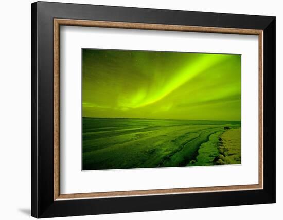 Green Northern Lights over the Sea, Beaufort Sea, ANWR, Alaska, USA-Steve Kazlowski-Framed Photographic Print