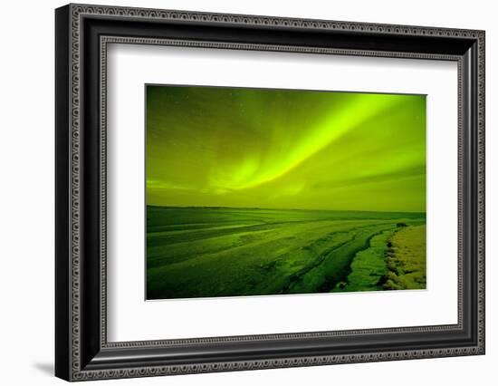 Green Northern Lights over the Sea, Beaufort Sea, ANWR, Alaska, USA-Steve Kazlowski-Framed Photographic Print