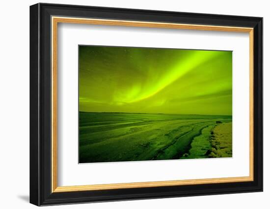 Green Northern Lights over the Sea, Beaufort Sea, ANWR, Alaska, USA-Steve Kazlowski-Framed Photographic Print