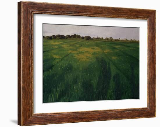 Green Oat Field-Félix Vallotton-Framed Giclee Print