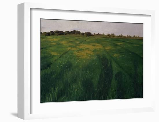 Green Oat Field-Félix Vallotton-Framed Giclee Print