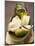 Green Olive, White Bread, Parmesan and Olive Oil-null-Mounted Photographic Print