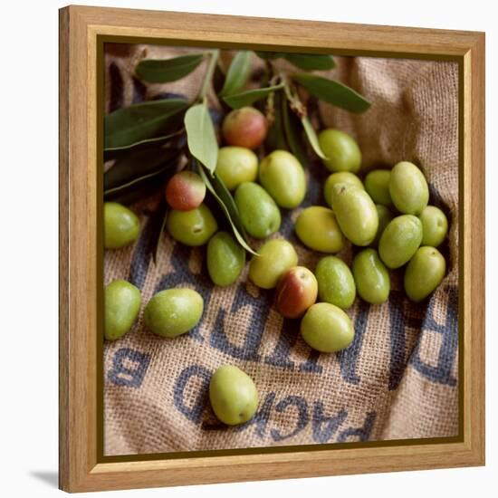 Green Olives on Burlap-George Seper-Framed Premier Image Canvas