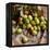 Green Olives on Burlap-George Seper-Framed Premier Image Canvas