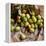 Green Olives on Burlap-George Seper-Framed Premier Image Canvas