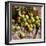 Green Olives on Burlap-George Seper-Framed Photographic Print