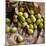 Green Olives on Burlap-George Seper-Mounted Photographic Print