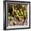 Green Olives on Burlap-George Seper-Framed Photographic Print